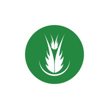 Yeşil ağaç yaprağı ekoloji doğa elementi vektörü logoları