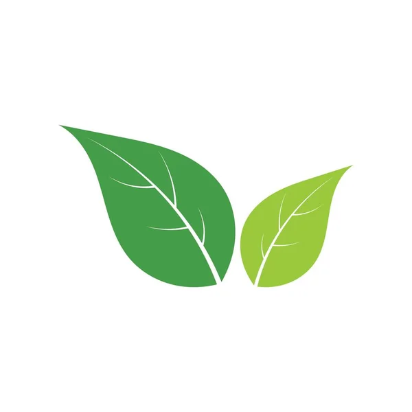 Logos Von Grünen Baumblättern Ökologie Natur Element Vektor Stockillustration