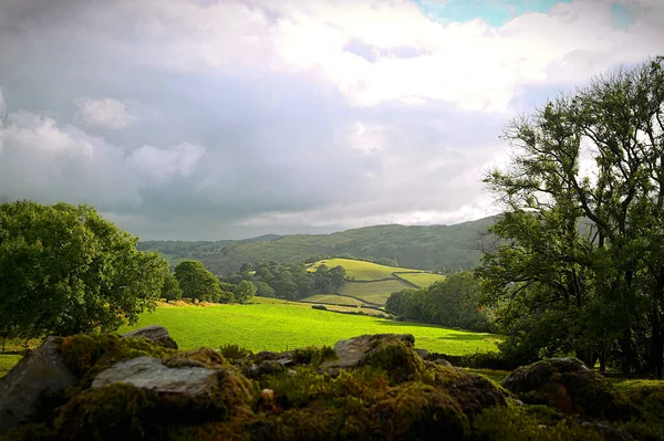 Cielo dramático Paisaje rural Naturaleza Antecedentes Plantas Árboles —  Fotos de Stock