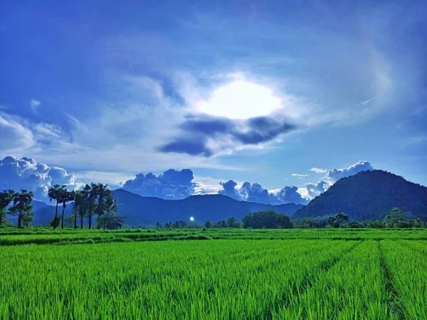 Dağlık arkaplanı ve bulutlu arkaplanı olan resimli fotoğraf alanı