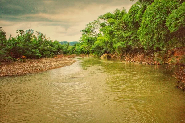 Sumbawa bölgesindeki Tatebal köyünde nehir manzarası