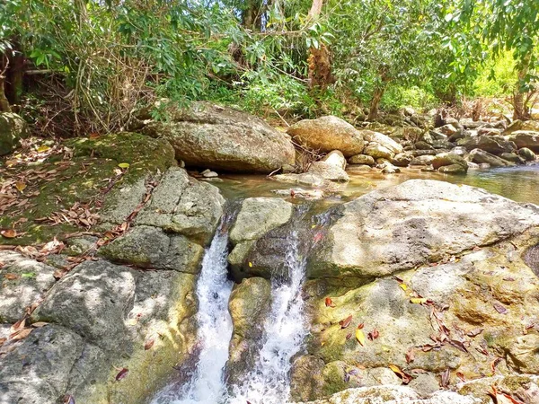 Nehirde küçük bir şelale Ağaç ve kayayla