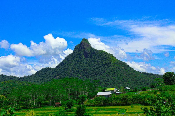sumbawa, 16 Mart 2022 Sumbawa Adası 'ndaki Olat Utuk dağının manzara fotoğrafı.