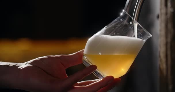 A csapos szűretlen világos sört öntött a sörcsapból a pohárba lassítva, búzasört öntve a kocsmába, 4k 120fps Prores főhadiszállás — Stock videók