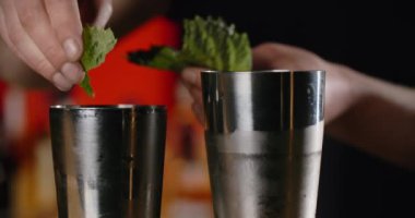 Barmen, açık karıştırıcıya taze nane yaprağı ekliyor. Kokteyli yeşil mevsimlerle hazırlıyor. Barmen, barın tezgahında soğuk içecekleri karıştırıyor.