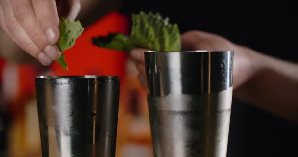 Barman adaugă frunze proaspete de mentă la agitatorul deschis, făcând din cocktail cu verdeață de sezon, barmanul amestecă băuturi reci pe tejgheaua de bar, 4k 120 fps Prores HQ — Videoclip de stoc