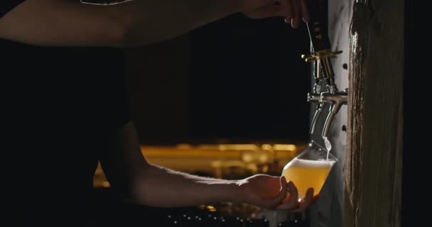 Barman häller ofiltrerat lättöl från ölkranen till glaset i slow motion, häller veteöl på puben, 4k 120fps Prores HQ — Stockvideo