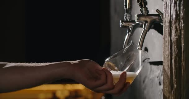 Barman pours unfiltered light beer from the beer tap to the glass in slow motion, pouring wheat beer in the pub, 4k 120fps Prores HQ — Stock Video