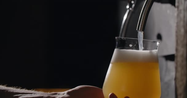 Barman pours unfiltered light beer from the beer tap to the glass in slow motion, pouring wheat beer in the pub, 4k 120fps Prores HQ — Stock Video