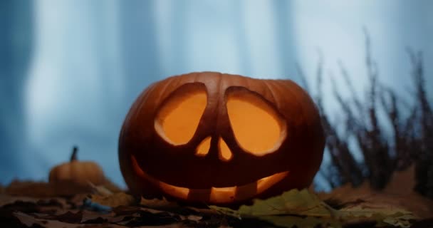 Visage de citrouille d'Halloween avec des bougies dedans se tient dans la forêt venteuse sombre la nuit, 4k 60p Prores HQ 10 bit — Video