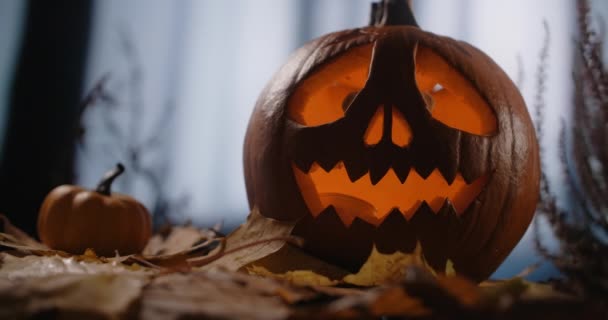 Halloween-Kürbisgesicht mit Kerzen darin steht nachts im dunklen, windigen Wald, 4k 60p Prores HQ 10 bit — Stockvideo