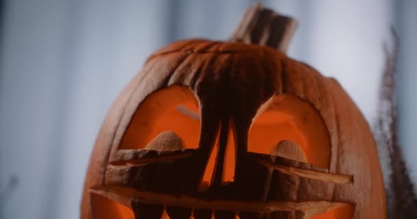 Halloween pumpa ansikte med ljus i den står i mörk blåsig skog på natten, 4k 60p Prores HQ 10 bit — Stockvideo