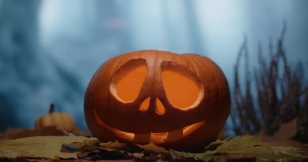 Cara de calabaza de Halloween con velas en ella se encuentra en el bosque ventoso oscuro por la noche, 4k 60p HQ Prores 10 bit — Vídeos de Stock
