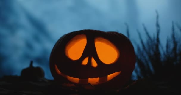 Halloween pumpa ansikte med ljus i den står i mörk blåsig skog på natten, 4k 60p Prores HQ 10 bit — Stockvideo