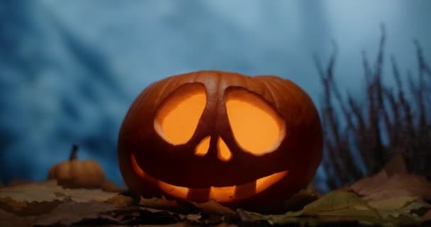 ハロウィーンのカボチャの顔にキャンドルがあり、夜は暗い風の強い森の中に立っています。 4k 60p Prores HQ 10ビット — ストック動画