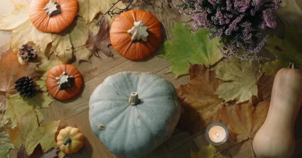 Bordplade video af dekoration efteråret sammensætning med græskar og blade af træklys, 4k 60p Prores HQ – Stock-video