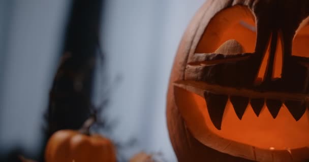 Panorámica de la cara de calabaza de halloween con velas en ella se encuentra en el bosque ventoso oscuro por la noche, 4k 60p HQ Prores 10 bit — Vídeo de stock