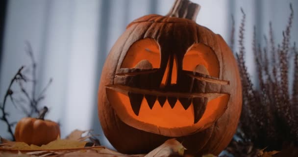 Halloween pumpa ansikte med ljus i den står i mörk blåsig skog på natten, 4k 60p Prores HQ 10 bit — Stockvideo