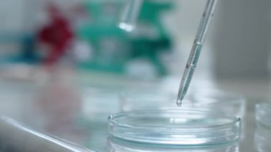 Laboratuvarın içinde, madde petri kabına pipetlenmiş. İlaçlar ve aşı geliştirme