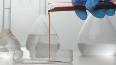 Laboratuvarın içinde, kan test tüpünden petri kabına dökülüyor. İlaçlar ve aşı geliştirme