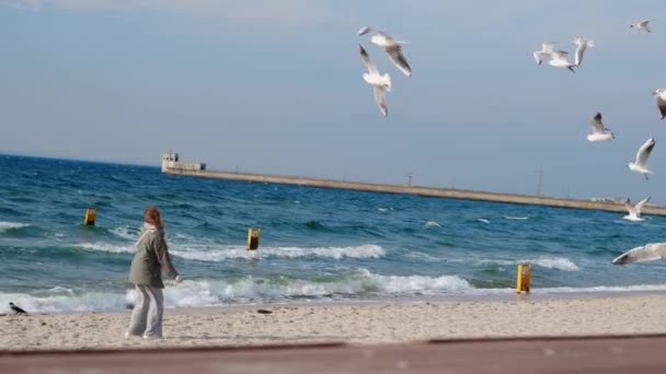 Frau wirft Brot in den Himmel und füttert Möwen und Albatrosse, die über das Meer fliegen, 4k 60p — Stockvideo