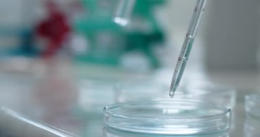 Inside the laboratory: the substance is pipetted into a petri dish. Medications and vaccine development, 4k Prores HQ