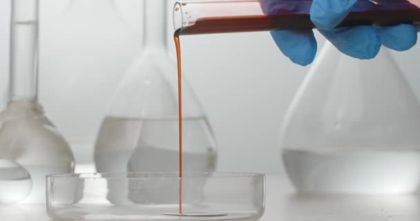 Wewnątrz laboratorium: krew jest przelewana z probówki do płytki Petriego. Leki i opracowywanie szczepionek — Wideo stockowe