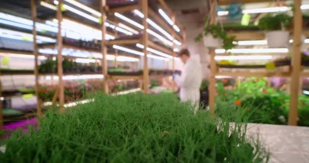 농부는 미세 녹색 수직 농업, 체외 식품, 농업 , 4k 60p 생산 공장에서 일한다 — 비디오