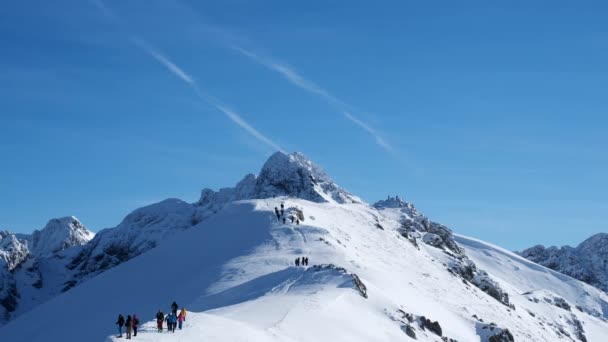 在阳光明媚的日子里，一群人在多雪的群山中远足，游览群山，寒假愉快，4k60p — 图库视频影像