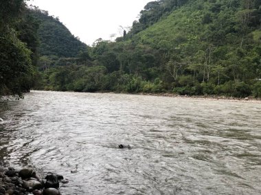 Galpones con cuarenta y cinco mil pollitos bebes de un da nacidos, a los cuarenta das estn listos a su distribucin por toda la regin. 