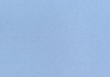 Çelik bir mısır çiçeğinin yüksek kaliteli büyük resmi. Mavi kaplanmamış kağıt pürüzsüz arkaplan. Beyaz gümüş fiber fiber tahılı.