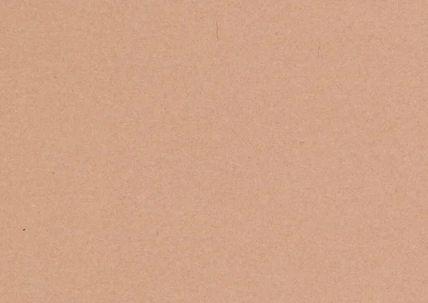 Highly Detailed Large Image Magnified Close Brown Cream Smooth Recycled — Fotografia de Stock