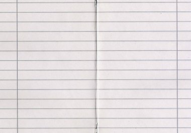 High resolution quality scan of school stapled notebook opening with line paper with vertical line in the middle of each page uncoated paper texture background large wallpaper with copy space for text