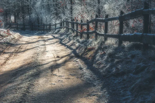 Bir kış sabahı orman yolunda yürürken