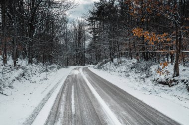 Polonya 'nın kuzeyinde kış ormanı yolu.