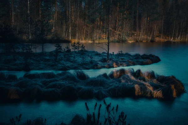 Bahar sabahında bir orman gölü