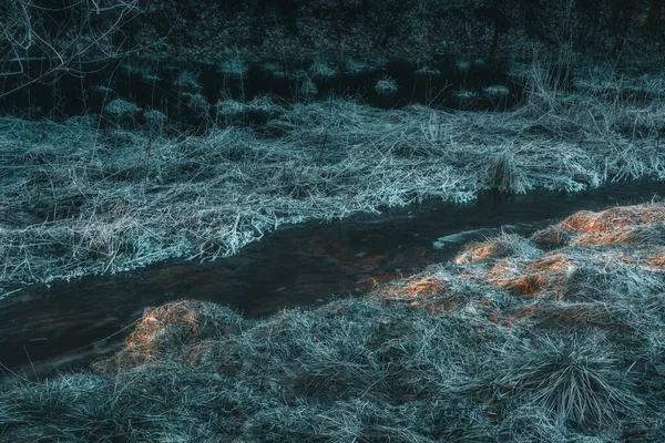 Orman deresinin kenarında dondurucu bir sabah