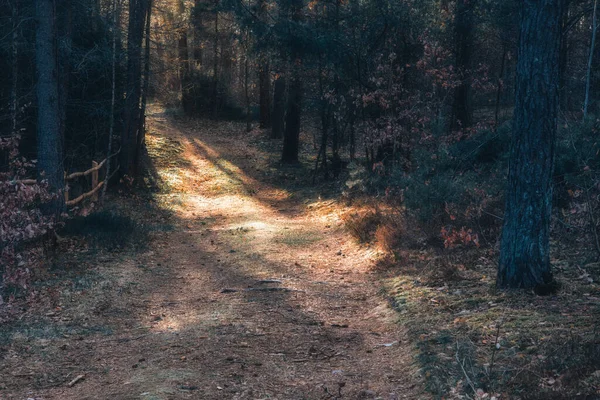 Baharın gelişi üzerine melankolik