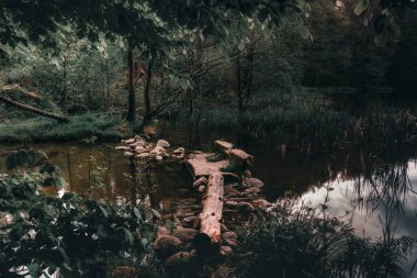 Wgorzyno ve Gucierz göllerini birbirine bağlayan durgun sularda bir masal sabahı