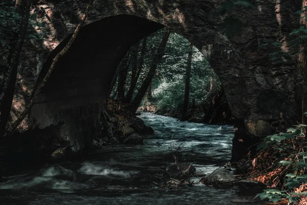 Sulczyska Ryn Köprüsü (Supia Nehri))