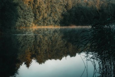 Sabah erken saatlerde Ostrowickie Gölü 'nde (Kashubia, Borowy Las)