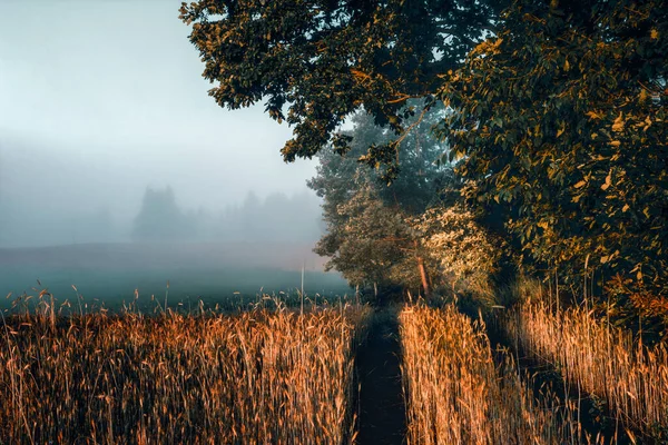 Sabah sisine doğru tarlalardan geçerek yola çık.