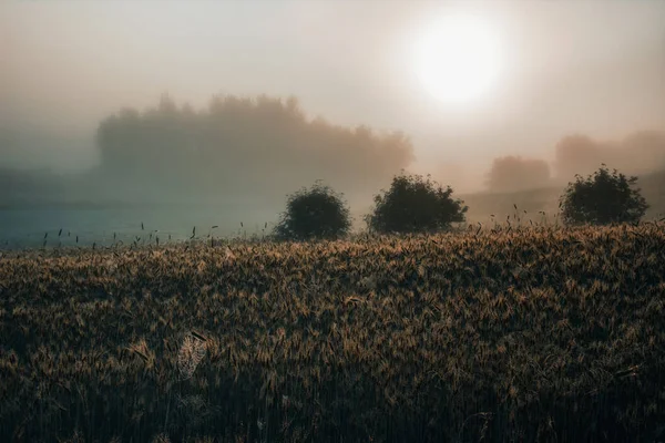 Çünkü yeni bir gün doğuyor, yeni bir gün.