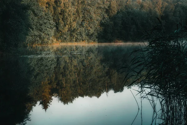 Sabah erken saatlerde Ostrowickie Gölü 'nde (Kashubia, Borowy Las)