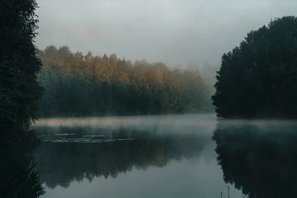 Ostrowickie Lake Bathed Morning Mist Kashubia Borowy Las — 图库照片