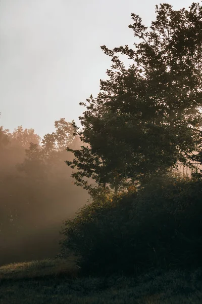 Sabah ışıklarının büyüsü sisle yıkandı.