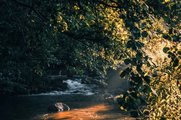 A quiet dawn in the vicinity of a rushing river