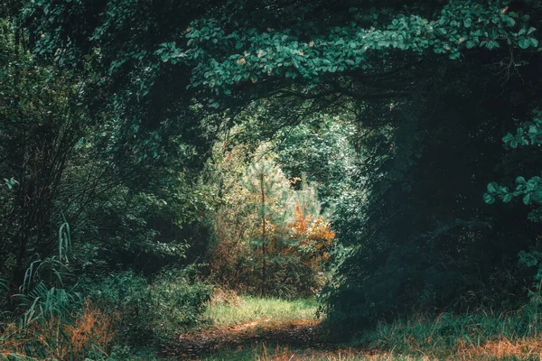 Une Porte Naturelle Vers Terre Lumière — Photo