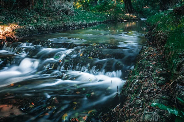 Gdynia 'nın Orowo' sunda bir ördek deresi