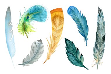Suluboya tüyleri koleksiyonu. El çizimi sanatsal çok renkli tüy seti beyaz arka planda izole edildi. Yedi farklı kuş tüyü, raster çizimi.
